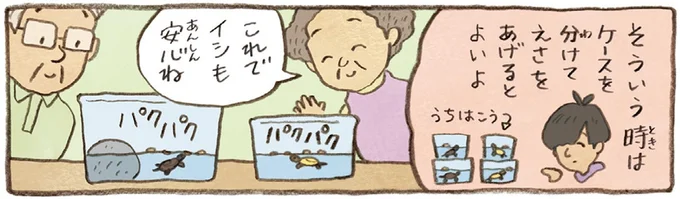 これでイシも安心ね