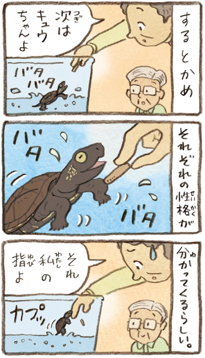 それ私の指よ