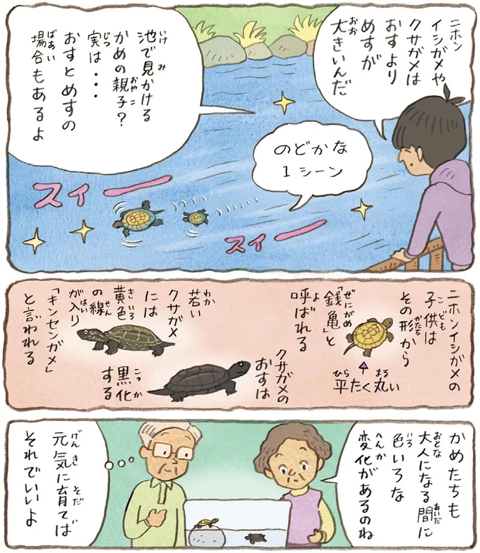 色いろな変化があるのね