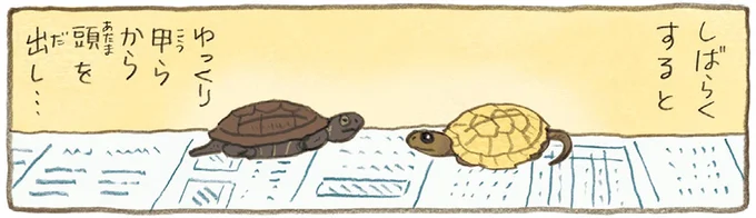 しばらくすると