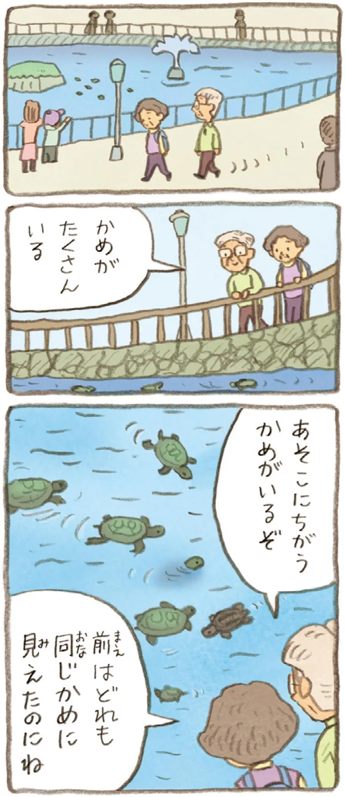 前はどれも同じかめに見えたのにね