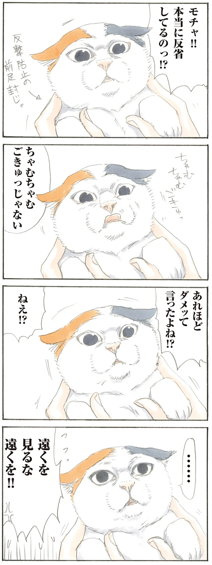 本当に反省してるのっ!?