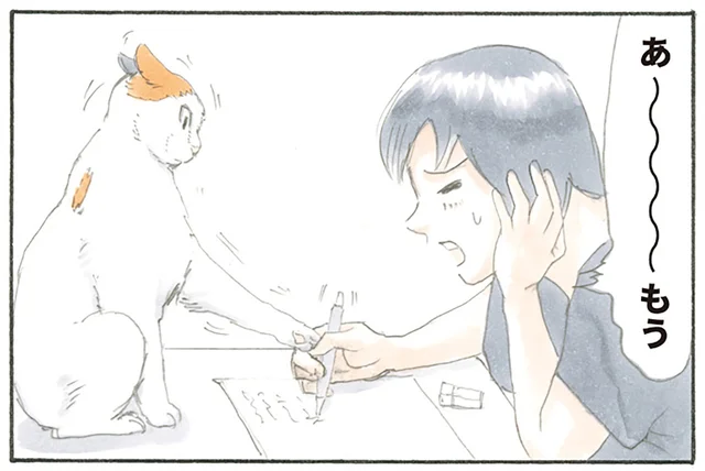 猫はどうしても反応しちゃいます！ 飼い主がペンを走らせていると