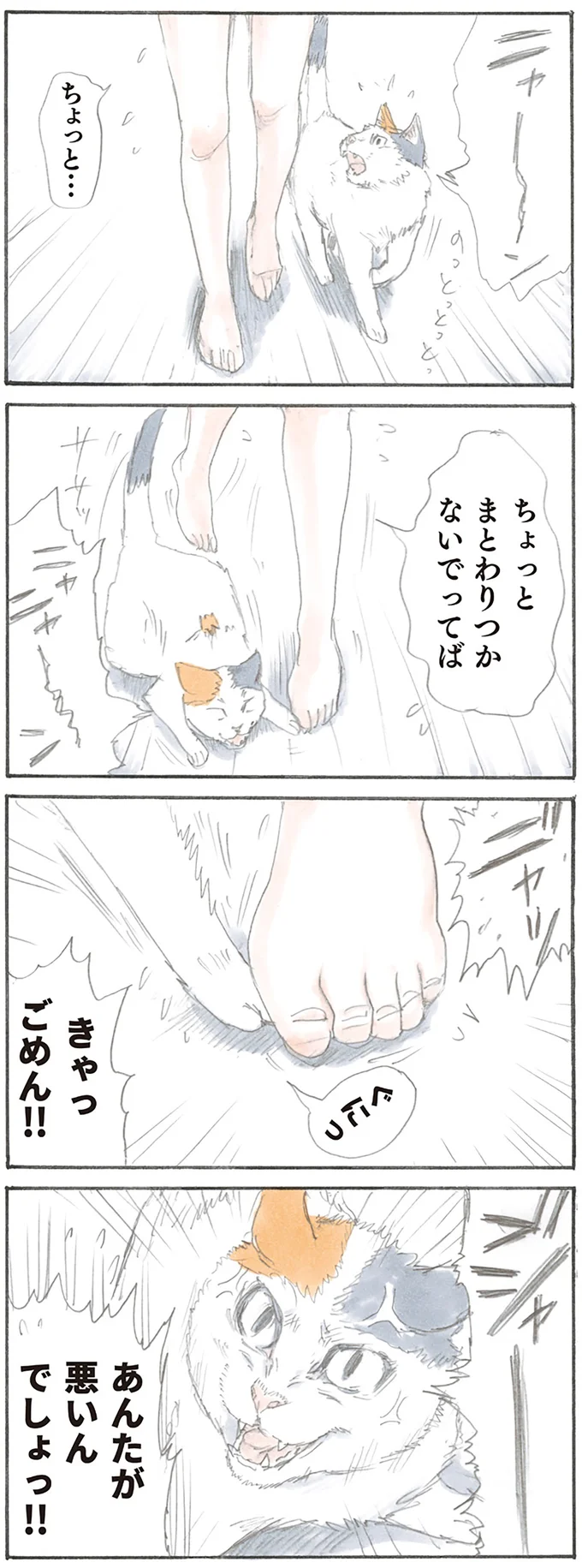 あんたが悪いんでしょっ!!