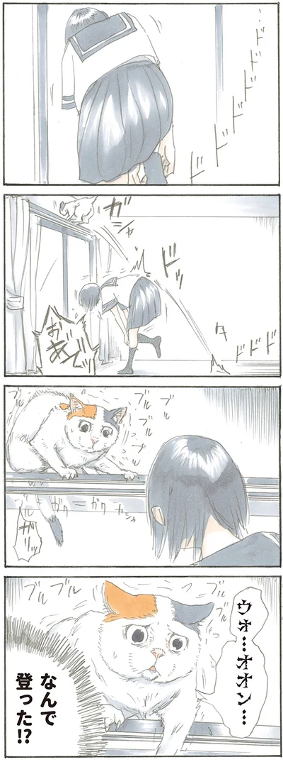 なんで登った!?