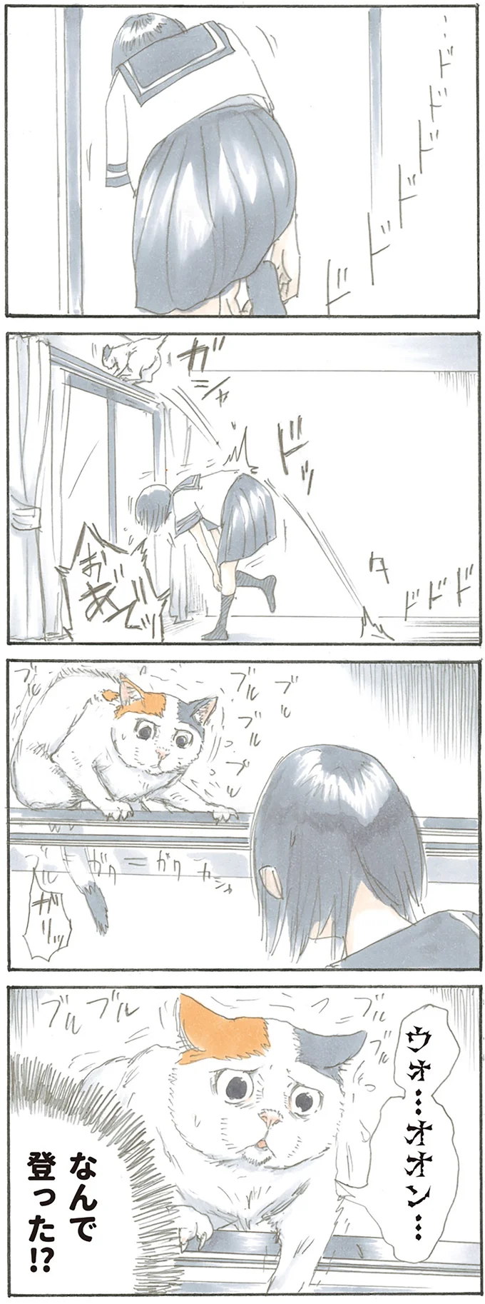 なんで登った!?