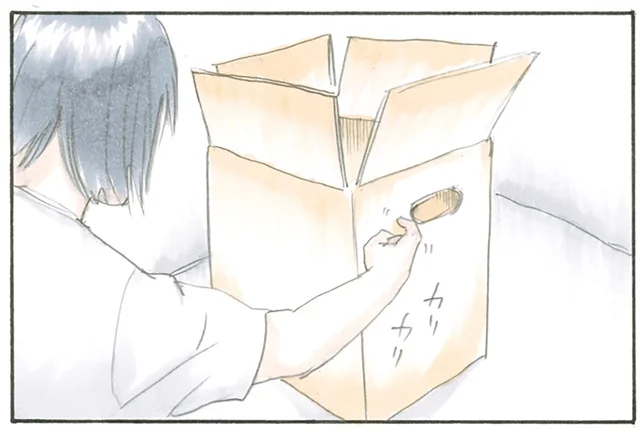 意地でも出てこない。要塞に立てこもるようにしている猫にちょっかいかけてみた