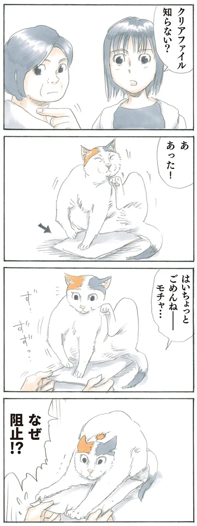 ちょっとごめんね