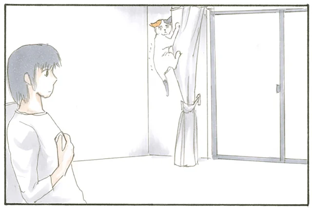 怯えているのは可愛いけれど。カーテンにしがみつき困っている猫がちょっと不思議