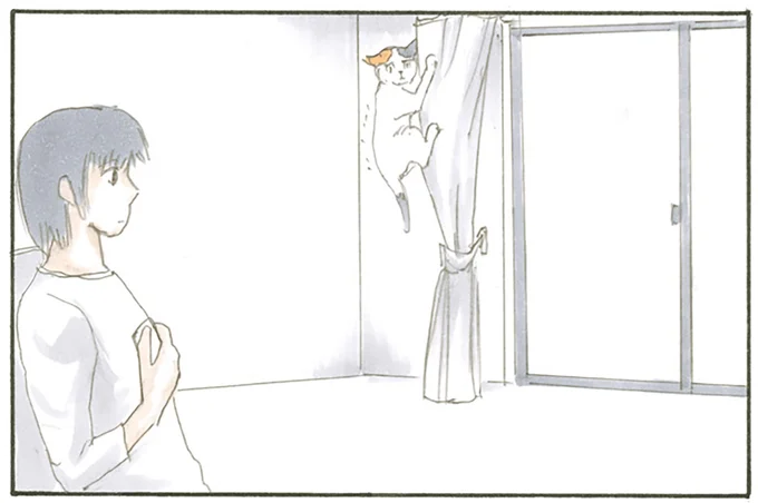 カーテンにしがみついて…