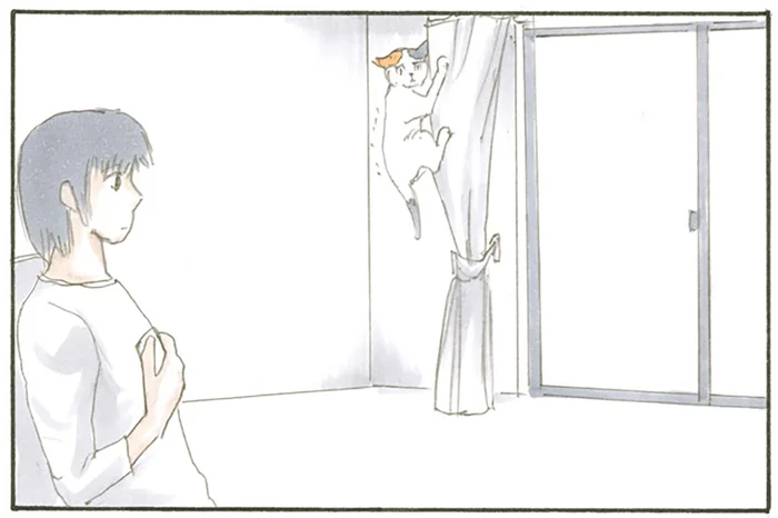 怯えているのは可愛いけれど。カーテンにしがみつき困っている猫がちょっと不思議