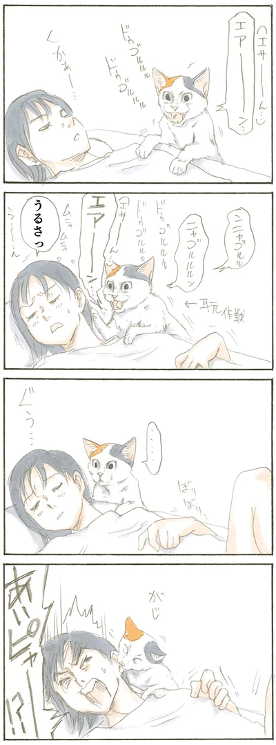 おねだりモチャ