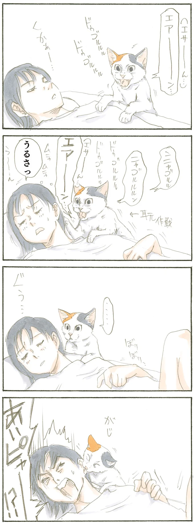 おねだりモチャ