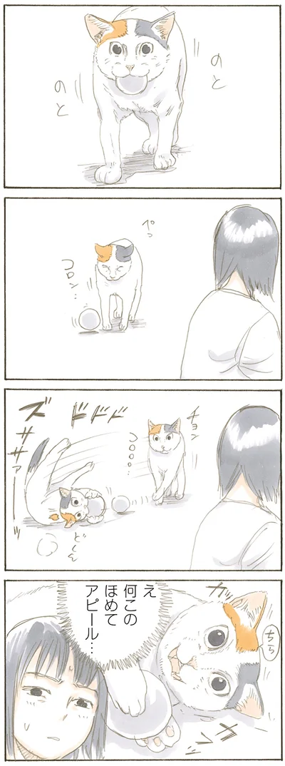 何このほめてアピール