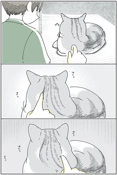 さっさっさっさっ