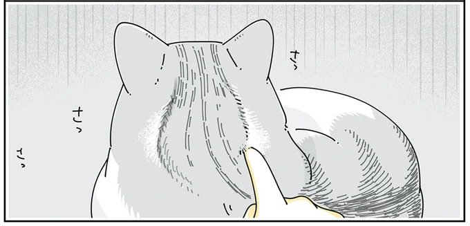 猫の後頭部に…