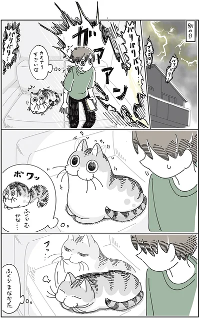 ふくらむかな…ふくらまなかった