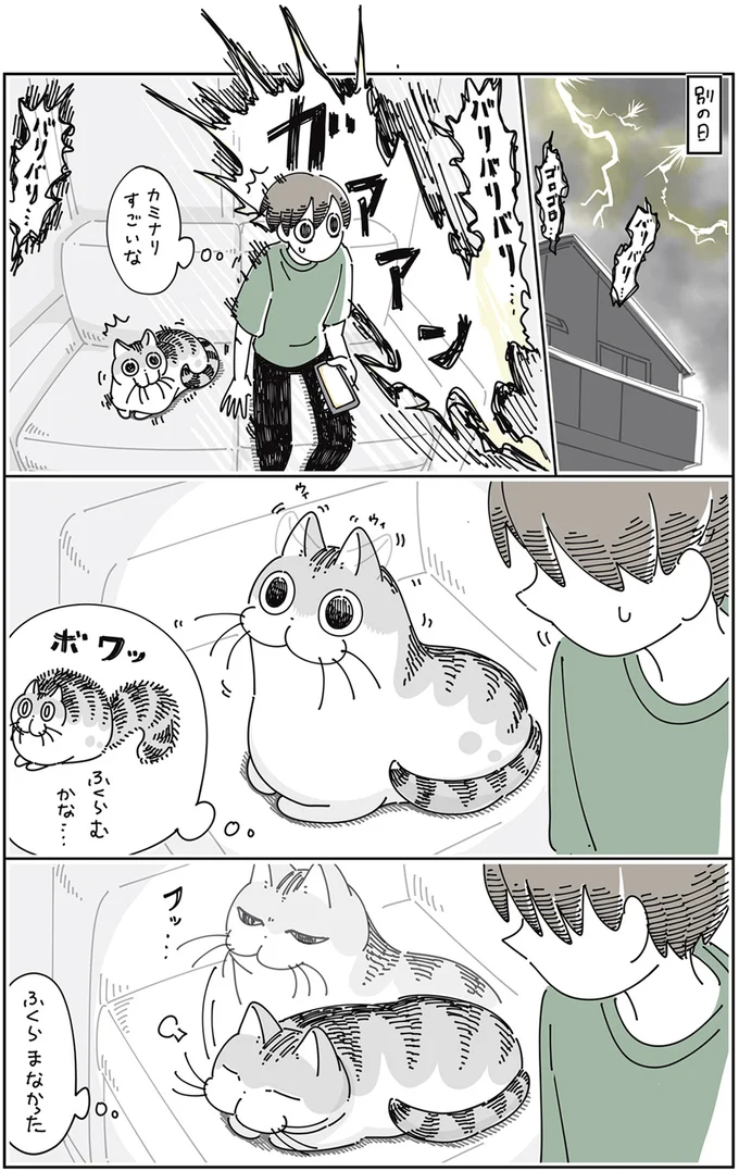 ふくらむかな…ふくらまなかった