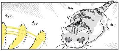 ドキドキの飼い主