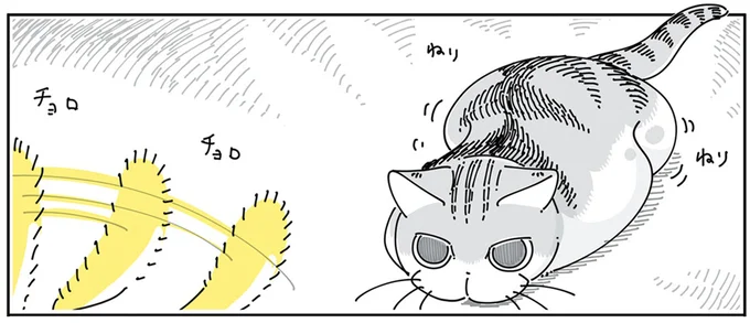 ドキドキの飼い主