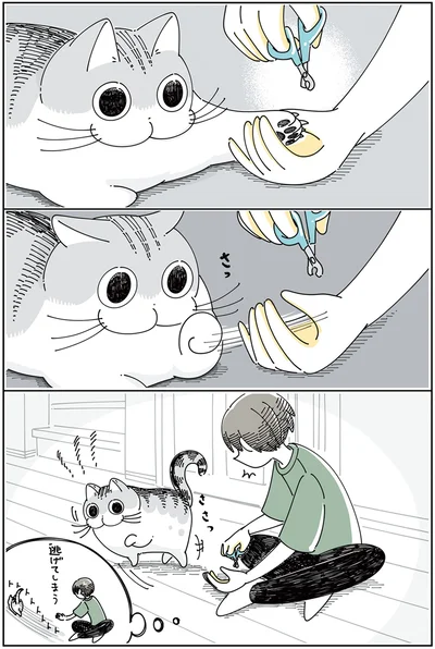 逃げてしまう…？