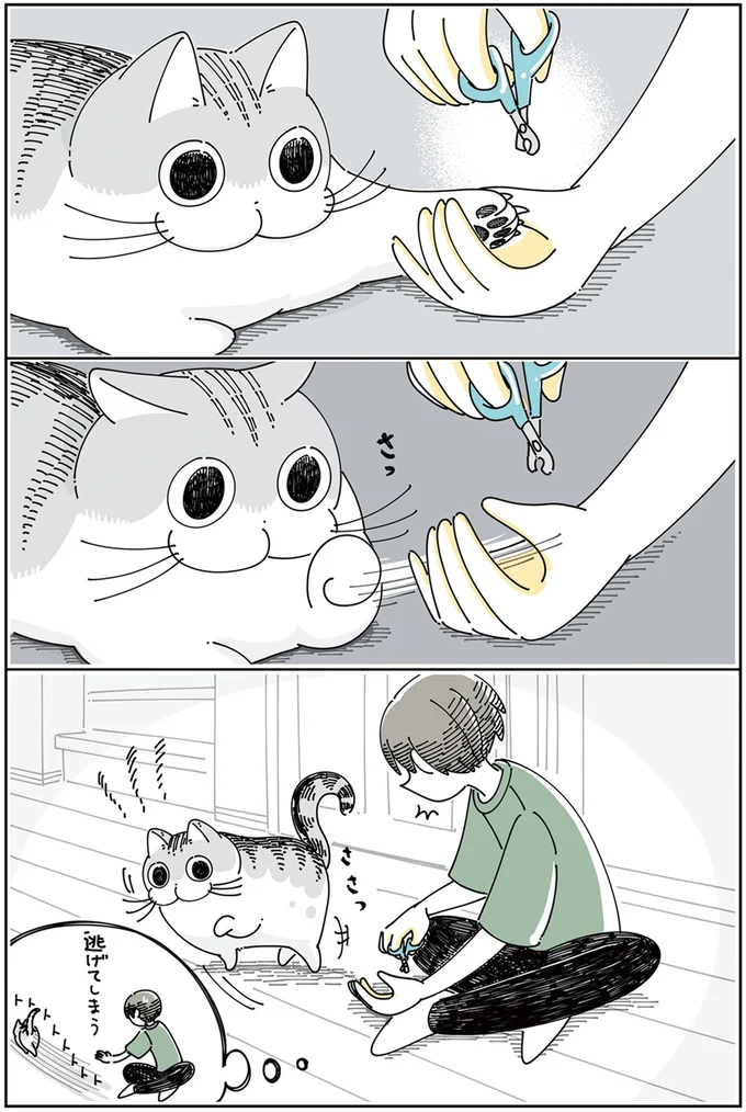 逃げてしまう…？