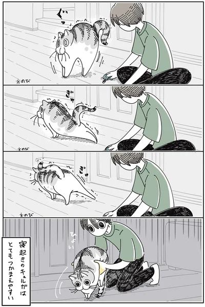 寝起きはつかまえやすい