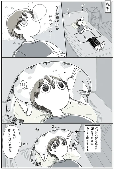 際どい場所で寝たいらしい