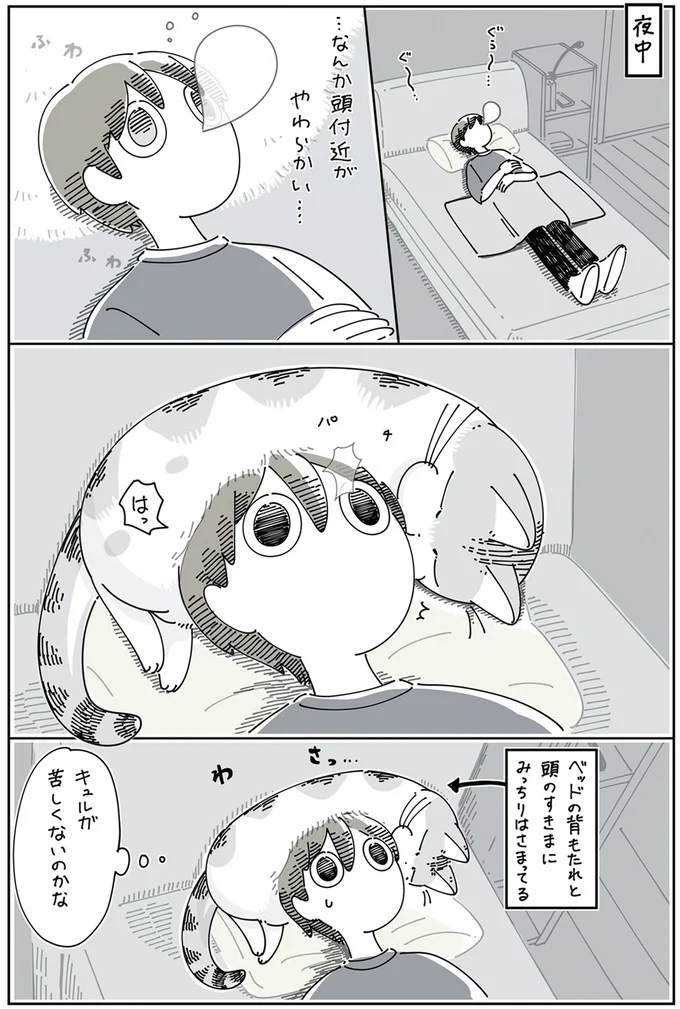 際どい場所で寝たいらしい