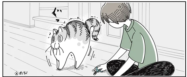 爪切りがしやすいタイミングは？ 伸びを繰り返す猫の寝起きを狙ってみた