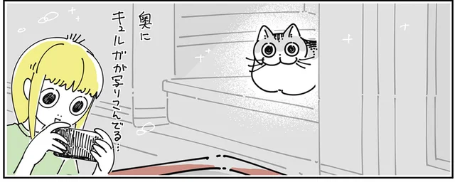 わぁ、奥に写り込んでるなぁ。ファインダーをそのまま猫に向けてみたら