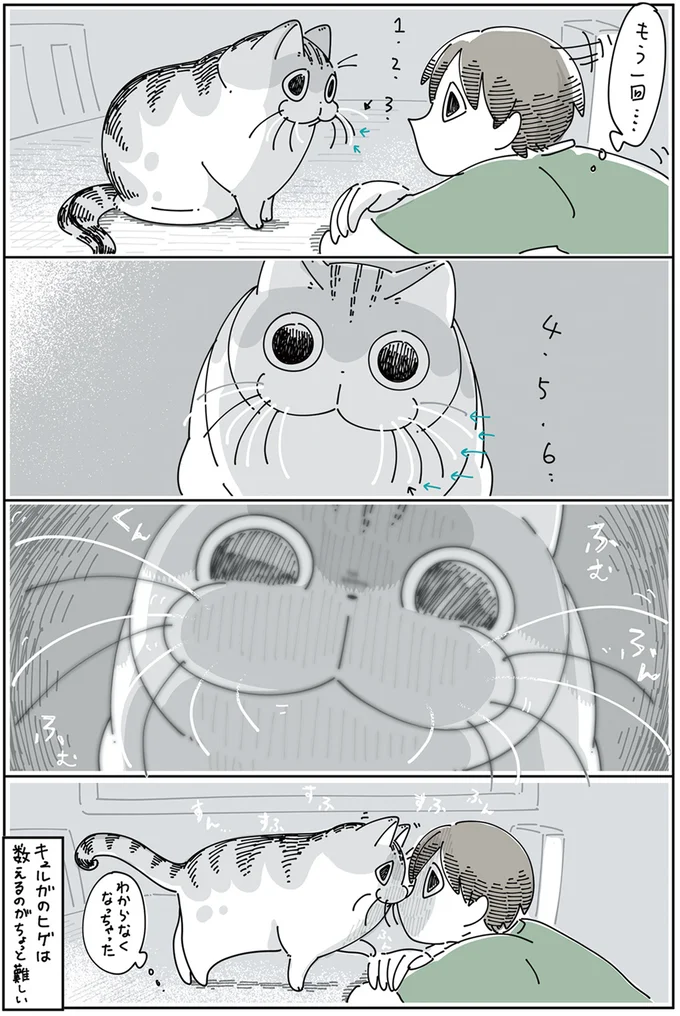 数えるのがちょっと難しい