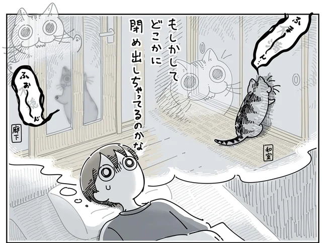 1階で鳴いている猫、もしかして締め出しちゃったかな!? 不安になる飼い主の夜
