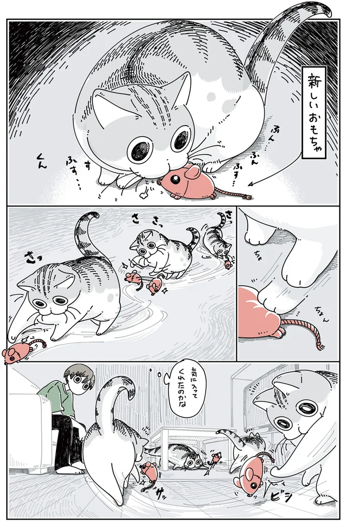 いれかわるおもちゃ