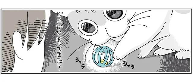 さっきまで別のおもちゃで遊んでたよね？ 入れ替わりが激しい猫のお気に入り