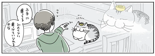 どのくらい乗っけていられるかな？ マスキングテープを猫の頭に乗せてみたら