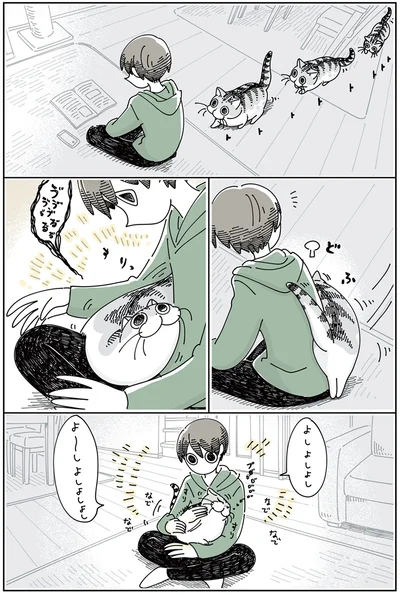 なでたところを気にするネコ