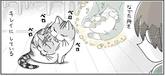 「よ～しよしよし」猫をなでなでしたら毛づくろいを始めてちょっと切ない