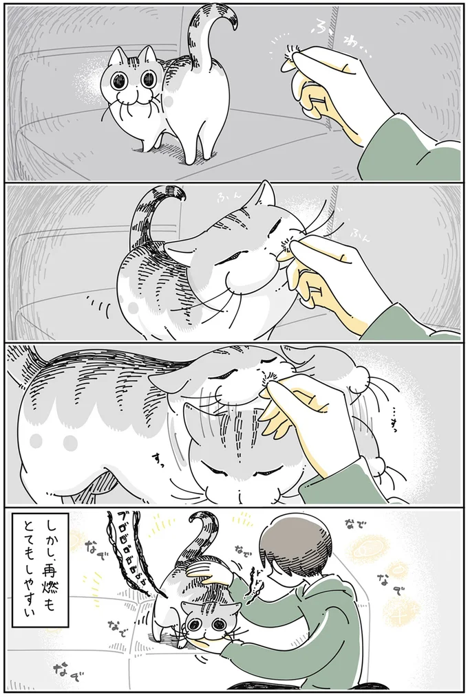 再燃もとてもしやすい