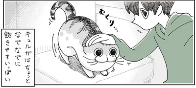 なでなでに飽きやすい