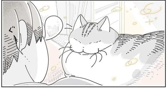 うとうとする猫と一緒に再び就寝。いやいや、起きなきゃいけないんだって！