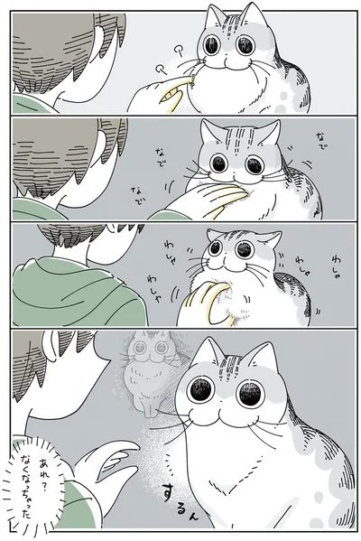 あれ？なくなっちゃった