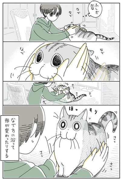 ふしぎだな