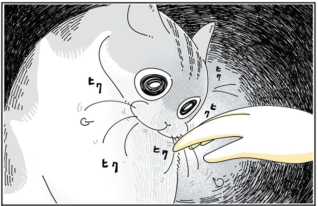 「何を食べてきたんですか？」出迎えモードだった猫の様子が変わる瞬間