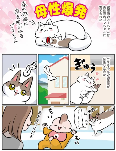 『マジレス幼児とモンペ猫　口達者な娘と過保護すぎる猫たちとの日常』より