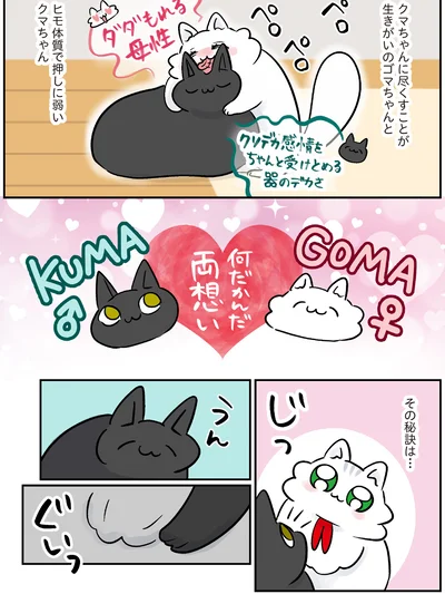 『マジレス幼児とモンペ猫　口達者な娘と過保護すぎる猫たちとの日常』より