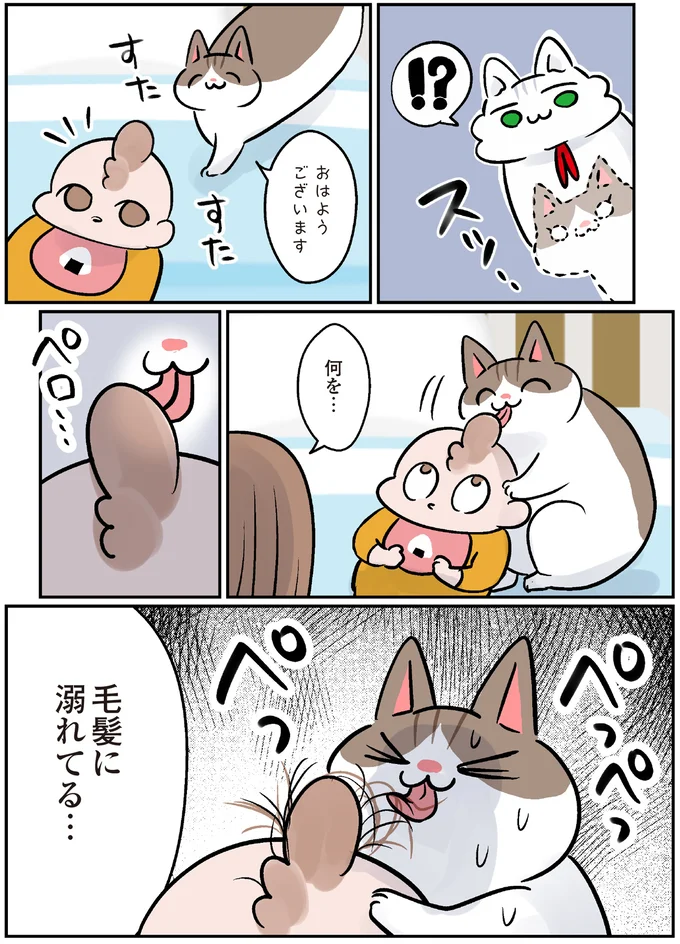 『マジレス幼児とモンペ猫　口達者な娘と過保護すぎる猫たちとの日常』より