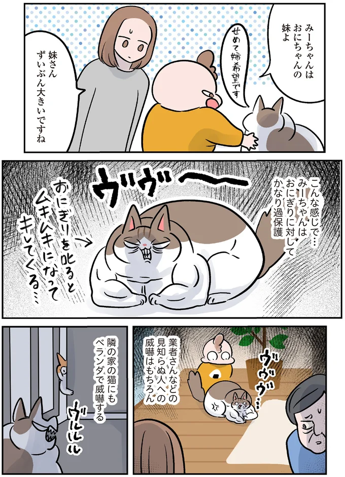 『マジレス幼児とモンペ猫　口達者な娘と過保護すぎる猫たちとの日常』より
