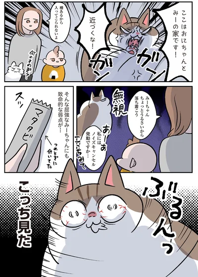 『マジレス幼児とモンペ猫　口達者な娘と過保護すぎる猫たちとの日常』より
