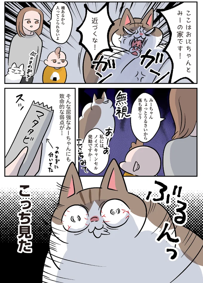 『マジレス幼児とモンペ猫　口達者な娘と過保護すぎる猫たちとの日常』より